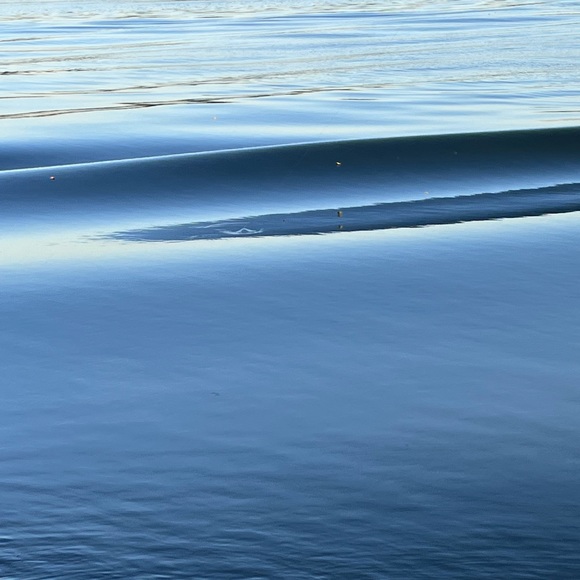 Meet your Posher, Rita - Picture 1 of 1